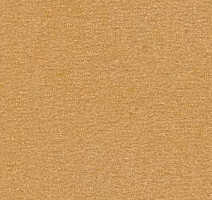 Ковролин Radici Nexus Biscotto 2407 фото 1 | FLOORDEALER